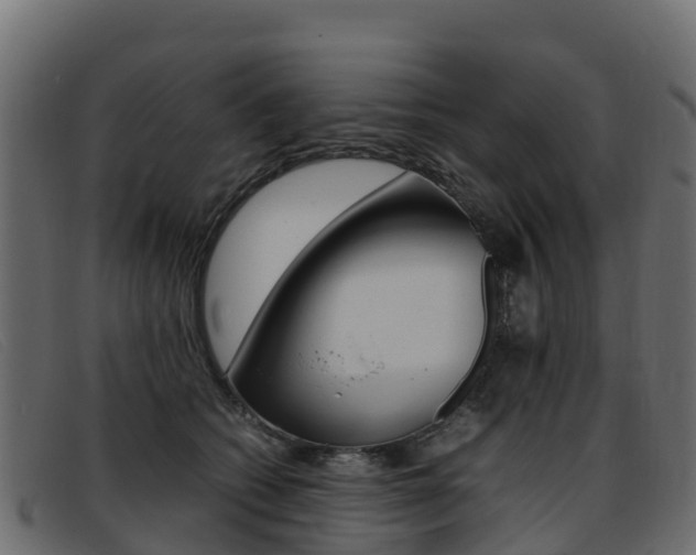 X0000093370562200710111329