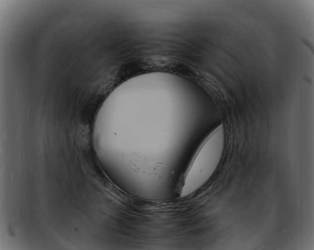 X0000093370563200710111329