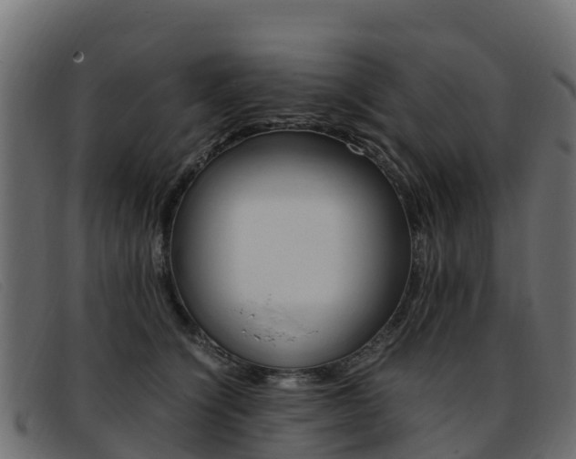 X0000093370564200710111329