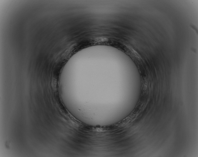 X0000093370565200710111329
