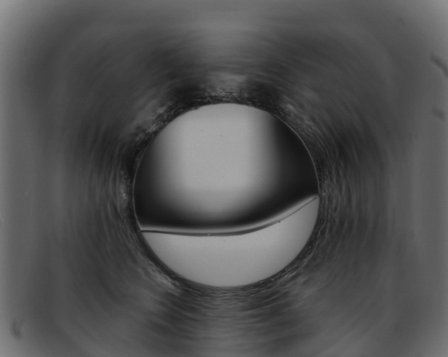 X0000093370566200710111329