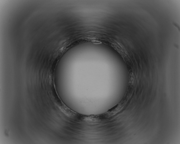 X0000093370568200710111329