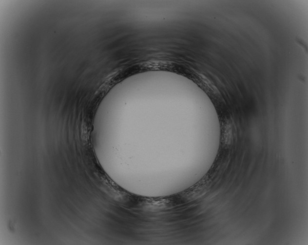 X0000093370569200710111329