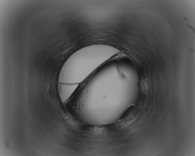 X0000093370570200710111329