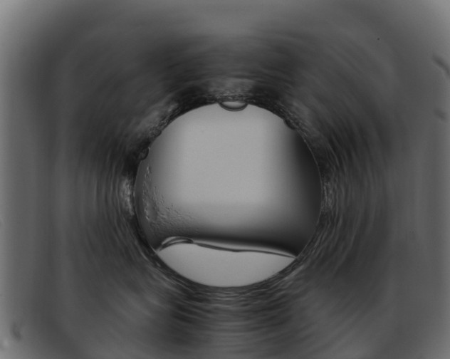 X0000093370575200710111329