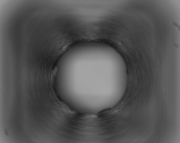 X0000093370576200710111329