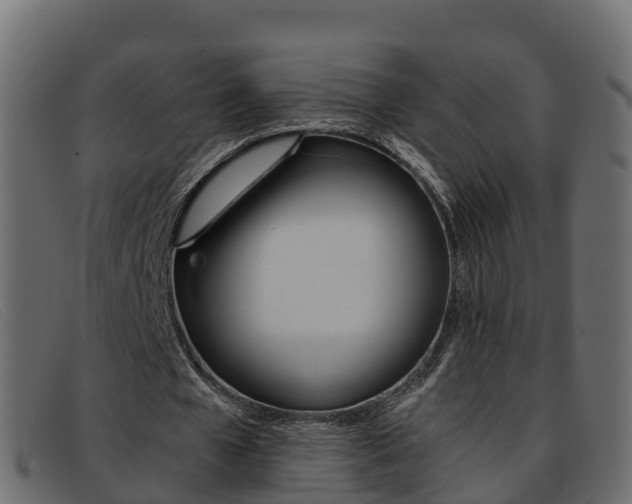 X0000093370577200710111328