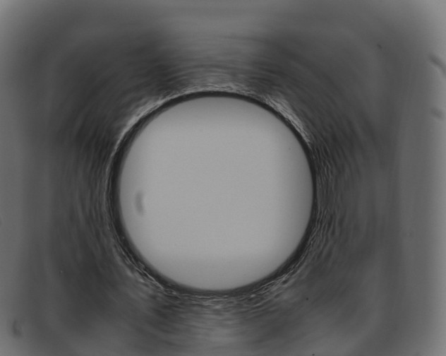 X0000093370579200710111328