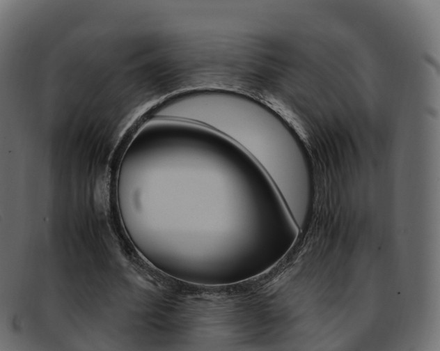 X0000093370580200710111328