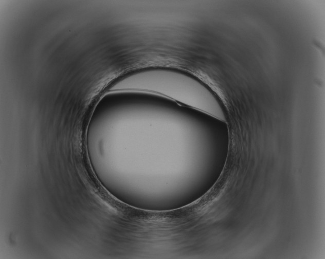 X0000093370581200710111328