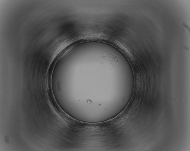 X0000093370582200710111328