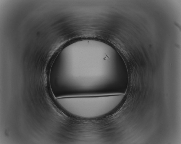 X0000093370584200710111328