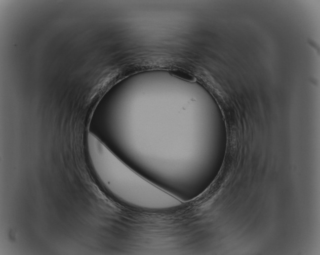 X0000093370585200710111328