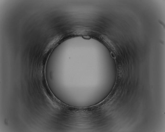 X0000093370586200710111328