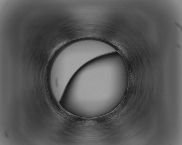 X0000093370587200710111328