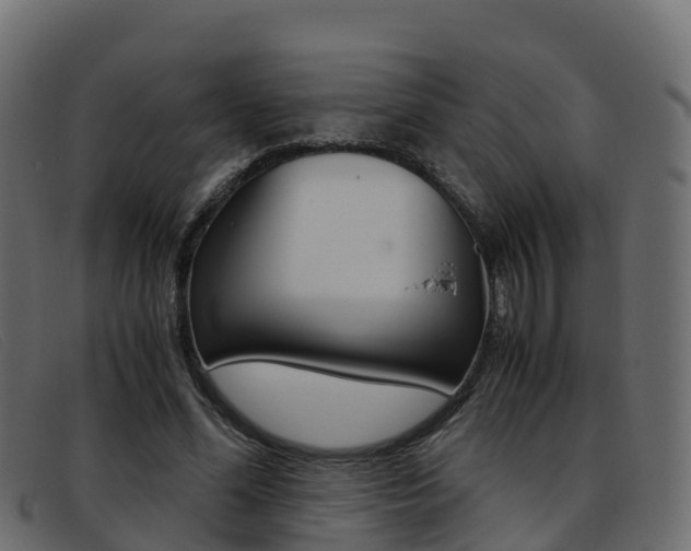 X0000093370588200710111328