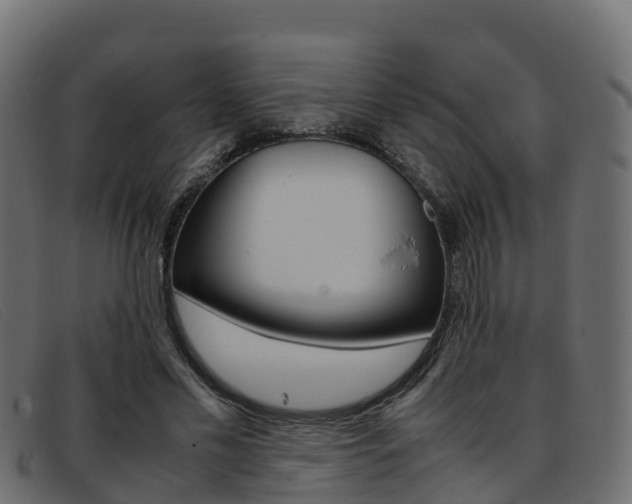 X0000093370589200710111328