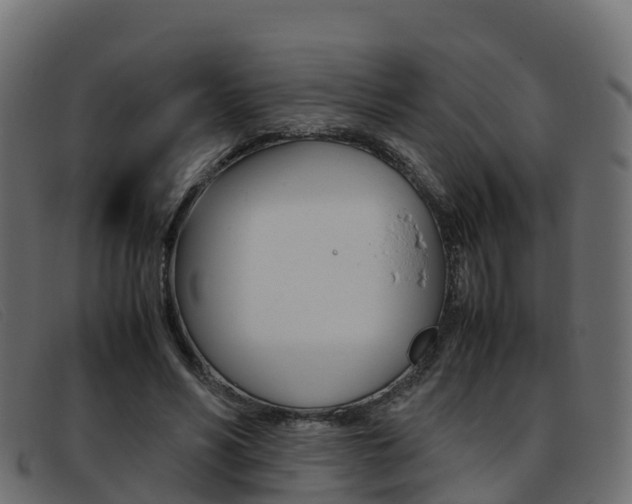 X0000093370590200710111328