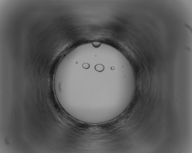 X0000093370591200710111328