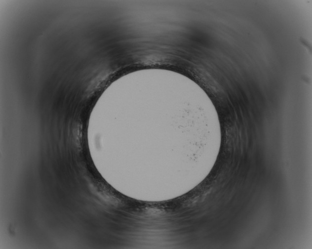 X0000093370592200710111328
