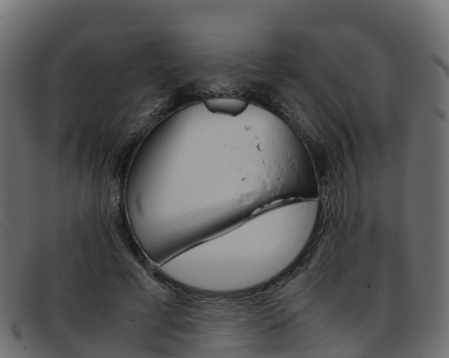X0000093370593200710111328