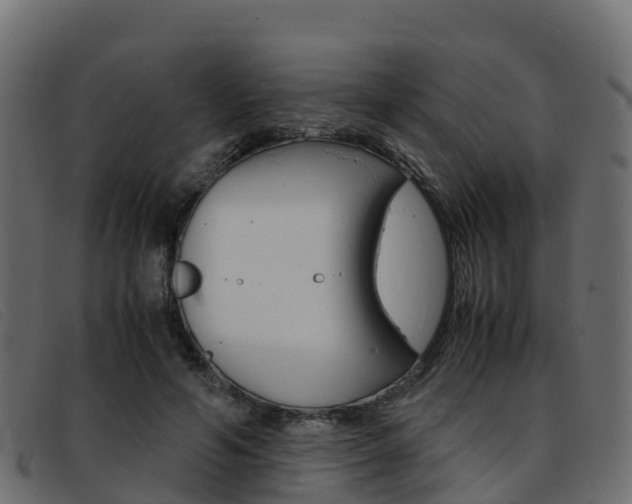 X0000093370594200710111328