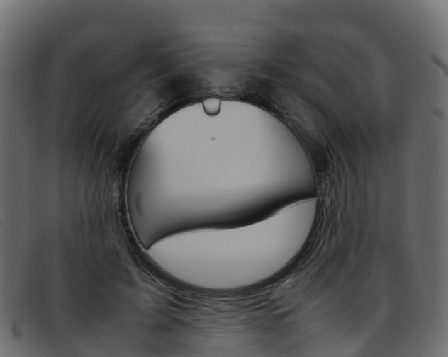 X0000093370595200710111328