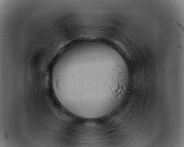 X0000093370596200710111328