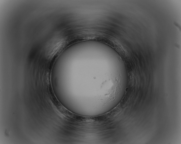 X0000093370598200710111328