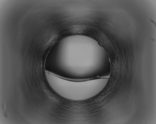 X0000093370600200710111328