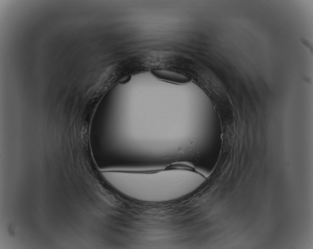 X0000093370601200710111328