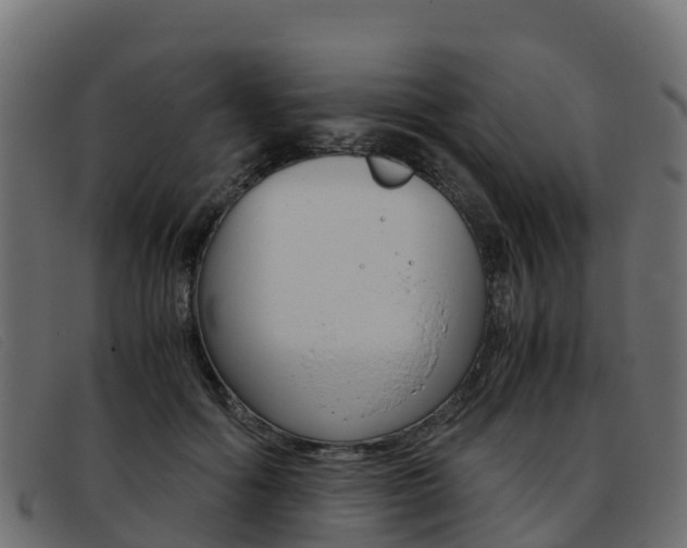 X0000093370602200710111328