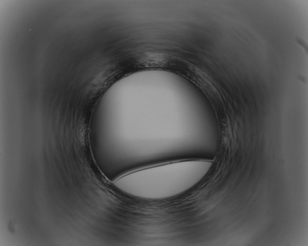 X0000093370604200710111328