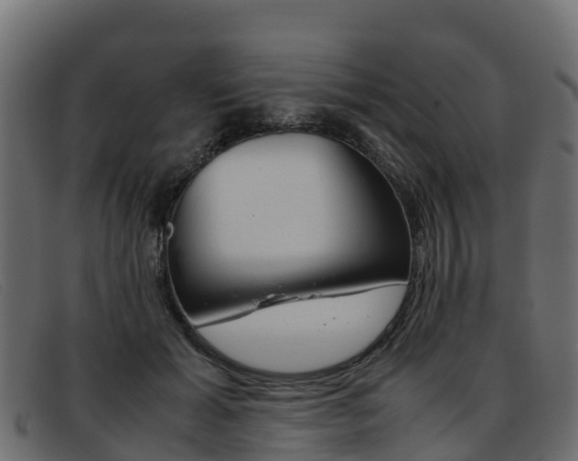 X0000093370605200710111328