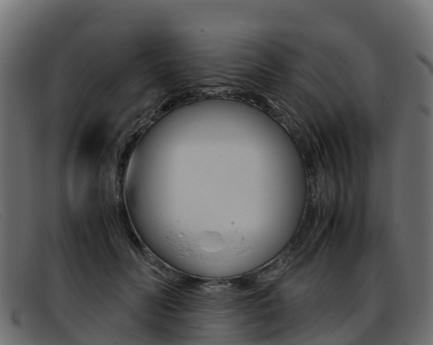 X0000093370606200710111328