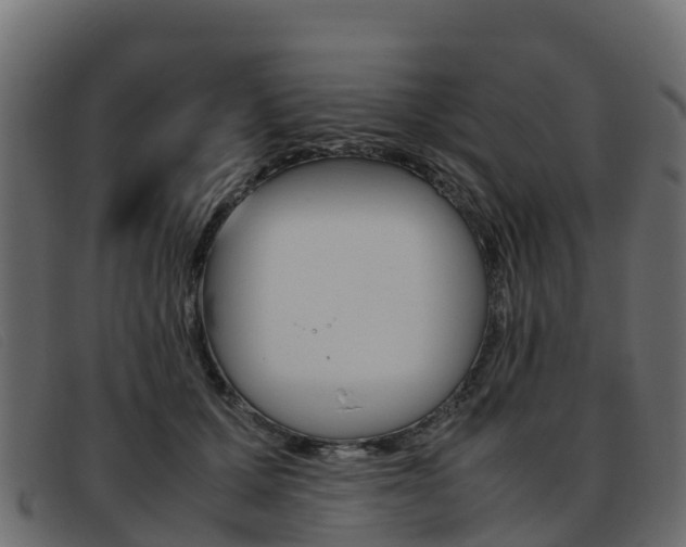X0000093370607200710111328
