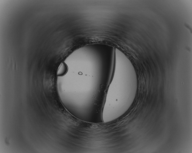 X0000093370608200710111328