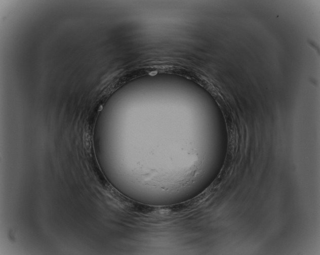 X0000093370609200710111328