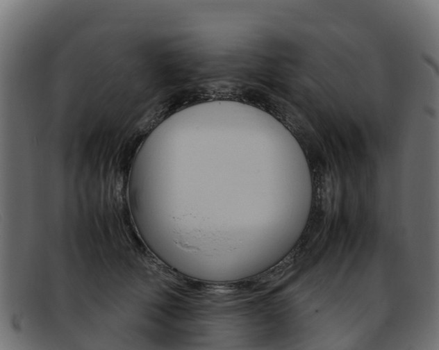 X0000093370610200710111328