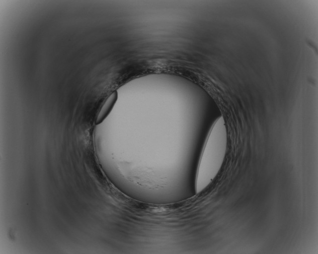 X0000093370611200710111328