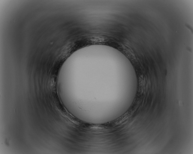 X0000093370614200710111328