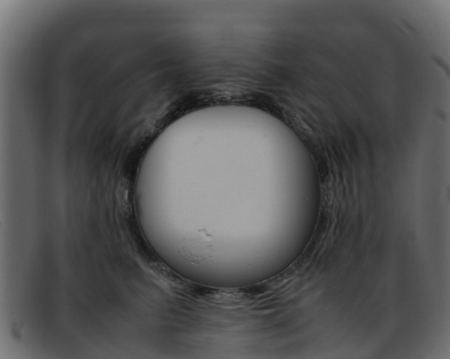 X0000093370615200710111328