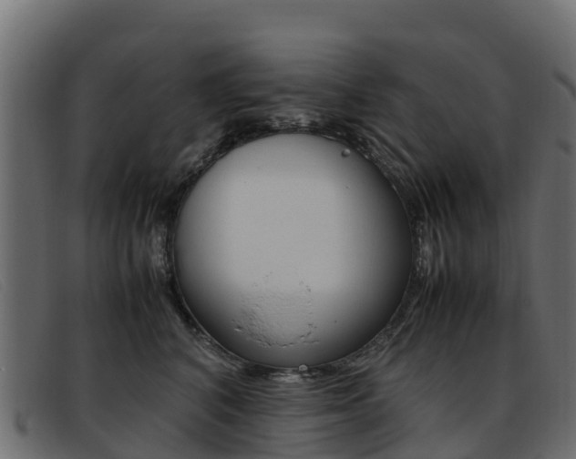 X0000093370616200710111328