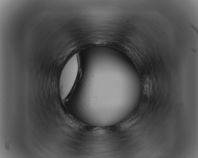 X0000093370620200710111328