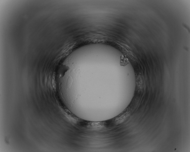 X0000093370622200710111328