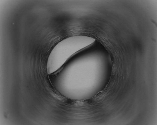 X0000093370623200710111328