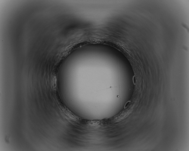 X0000093370624200710111328