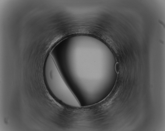 X0000093370625200710111327