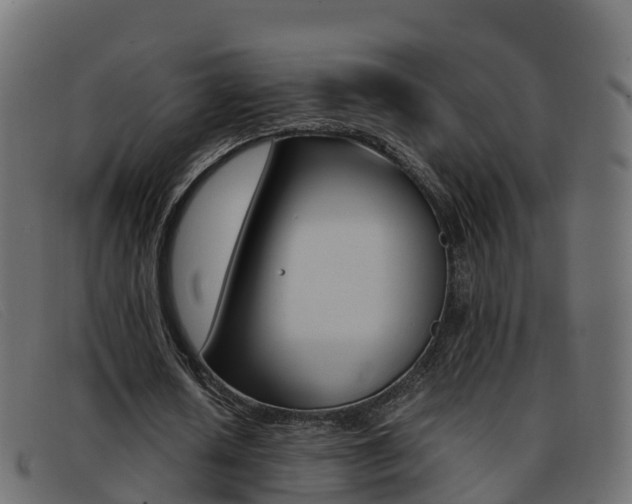 X0000093370626200710111327