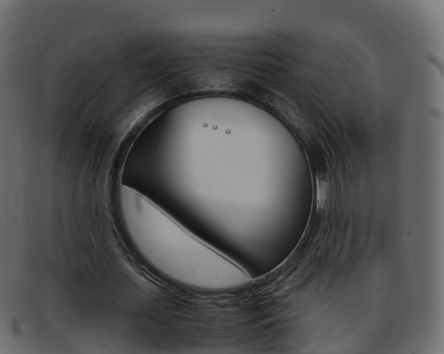 X0000093370627200710111327